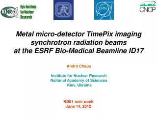 Metal micro-detector TimePix imaging synchrotron radiation beams