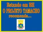 O PROJETO TAMACHO - slide 1