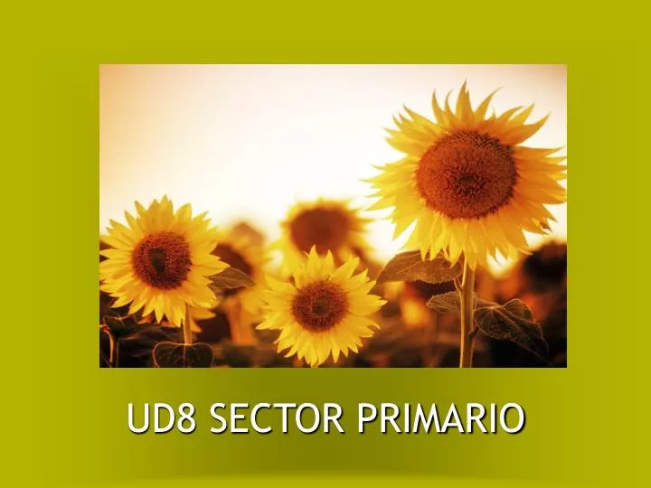 ud8 sector primario