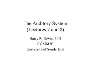 The Auditory System (Lectures 7 and 8)