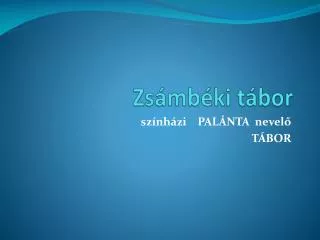 zs mb ki t bor