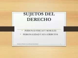 sujetos del derecho