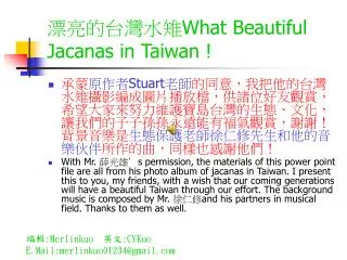 ??????? What Beautiful Jacanas in Taiwan !