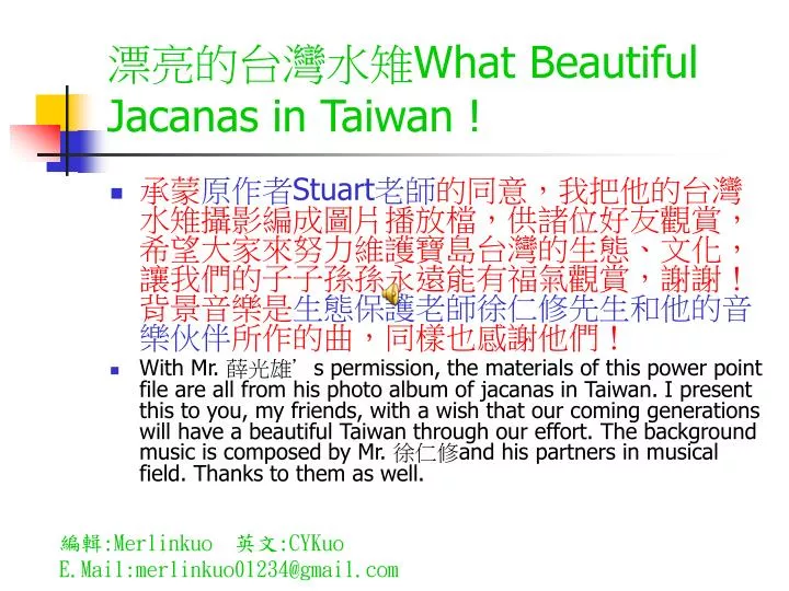 what beautiful jacanas in taiwan