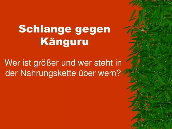 schlange gegen k nguru