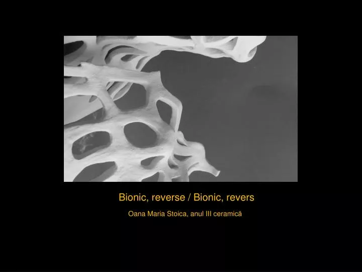 bionic reverse bionic revers
