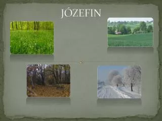 j zefin