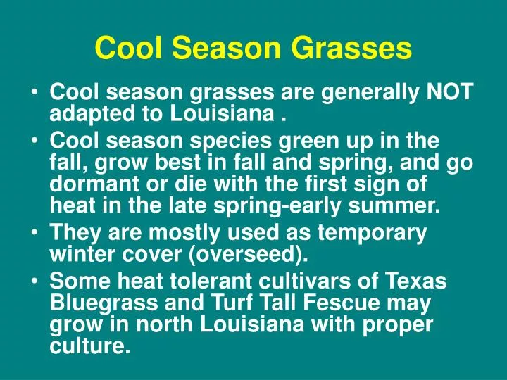 cool season grasses