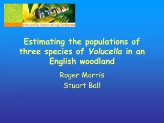 Estimating the populations of three species of Volucella in an English woodland