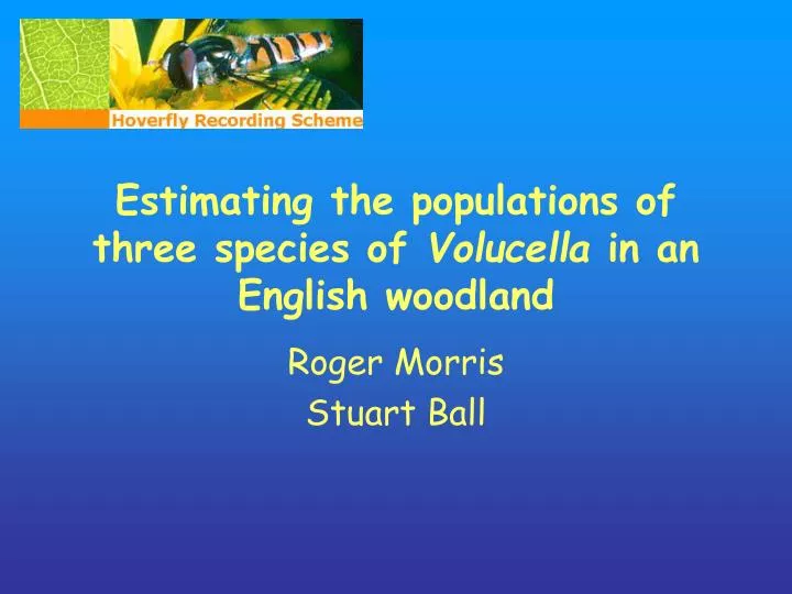 estimating the populations of three species of volucella in an english woodland