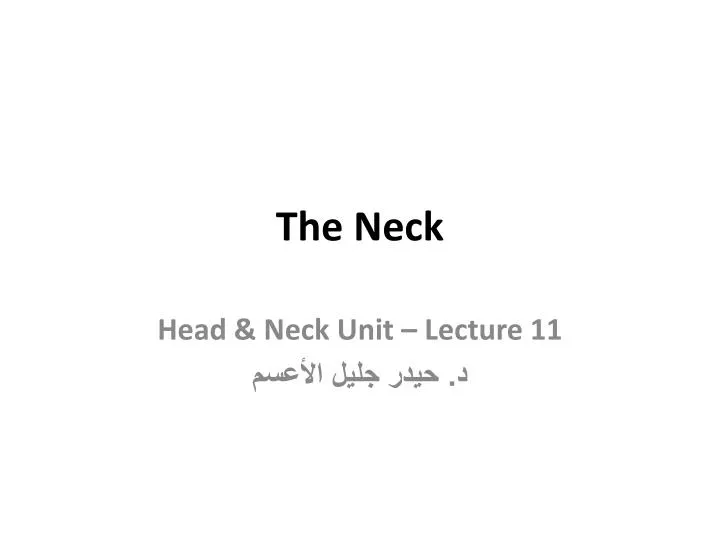 the neck