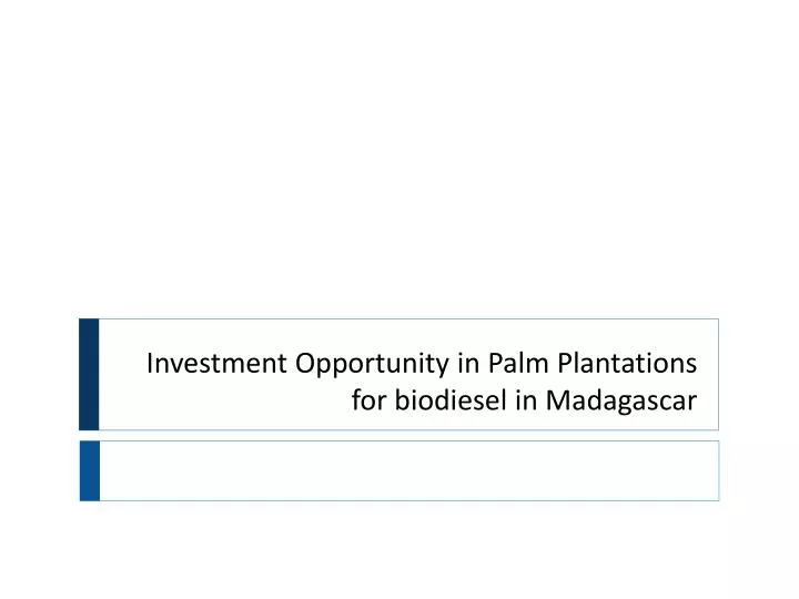 investment opportunity in palm plantations for biodiesel in madagascar