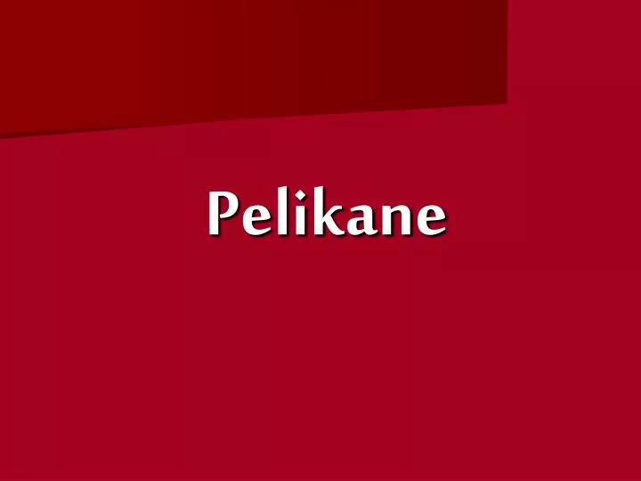 pelikane