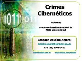 crimes cibern ticos