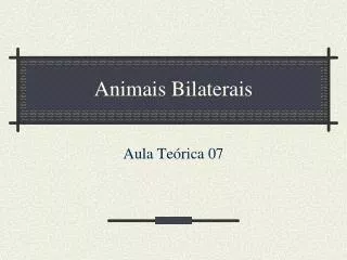 animais bilaterais