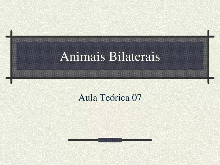 animais bilaterais