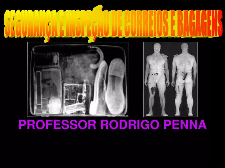 professor rodrigo penna