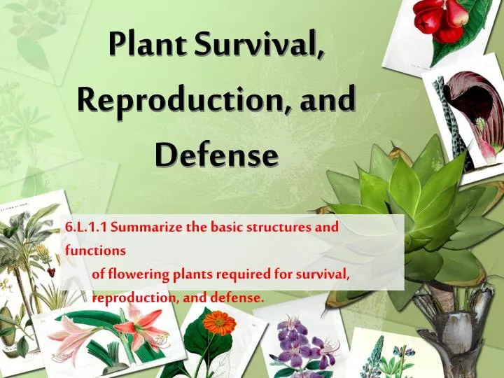plant survival reproduction and defense