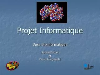 projet informatique