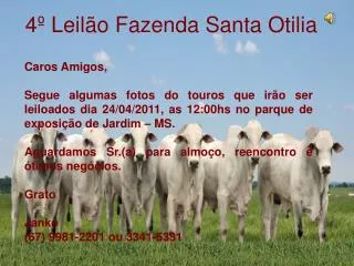 4 leil o fazenda santa otilia