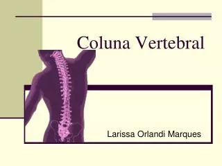 coluna vertebral