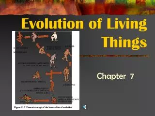 Evolution of Living Things