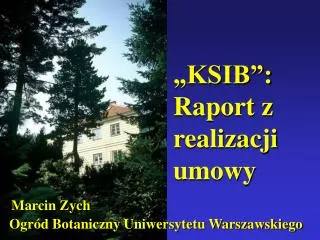 ksib raport z realizacji umowy