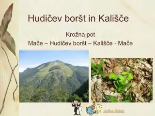 hudi ev bor t in kali e
