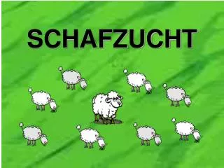 SCHAFZUCHT