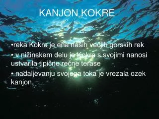 kanjon kokre