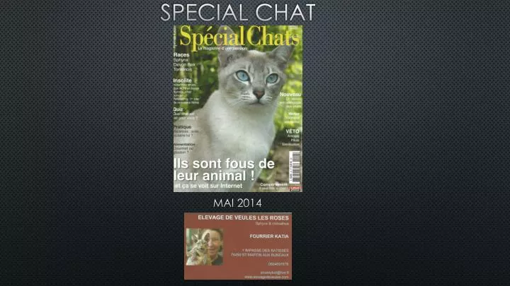 special chat