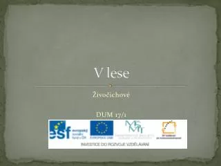 v lese