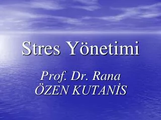 stres y netimi