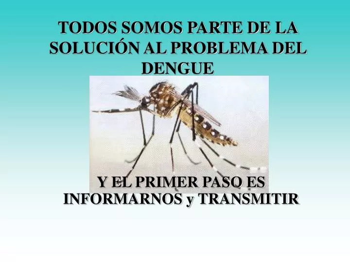 todos somos parte de la soluci n al problema del dengue