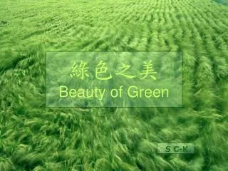 beauty of green