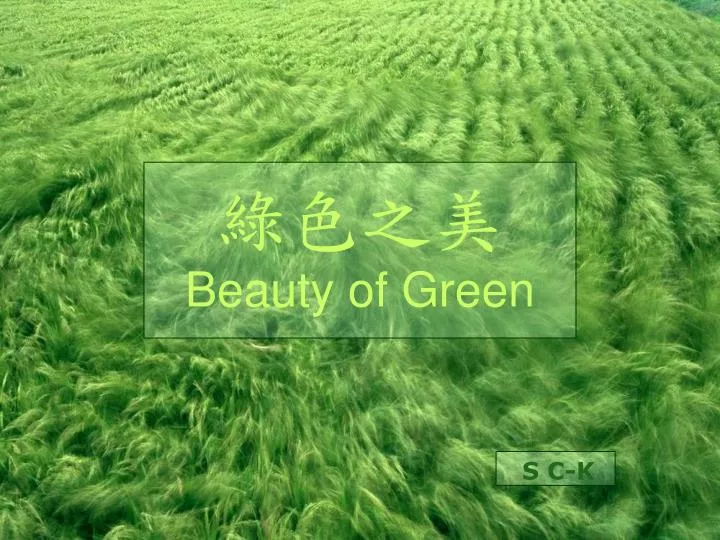 beauty of green