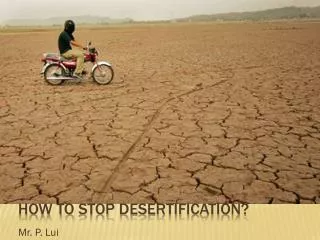 How to stoP DESERTIFICATION?