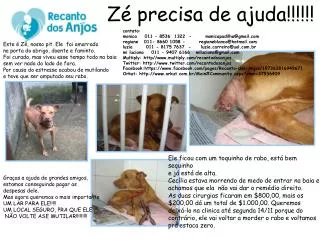 z precisa de ajuda