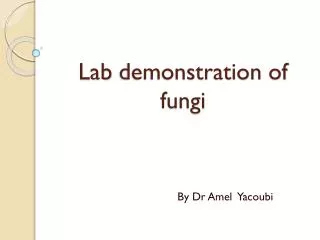 Lab demonstration of fungi