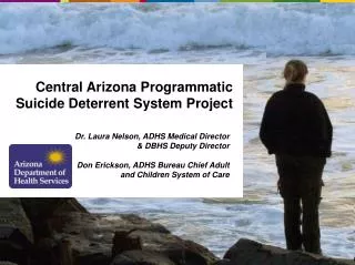Central Arizona Programmatic Suicide Deterrent System Project