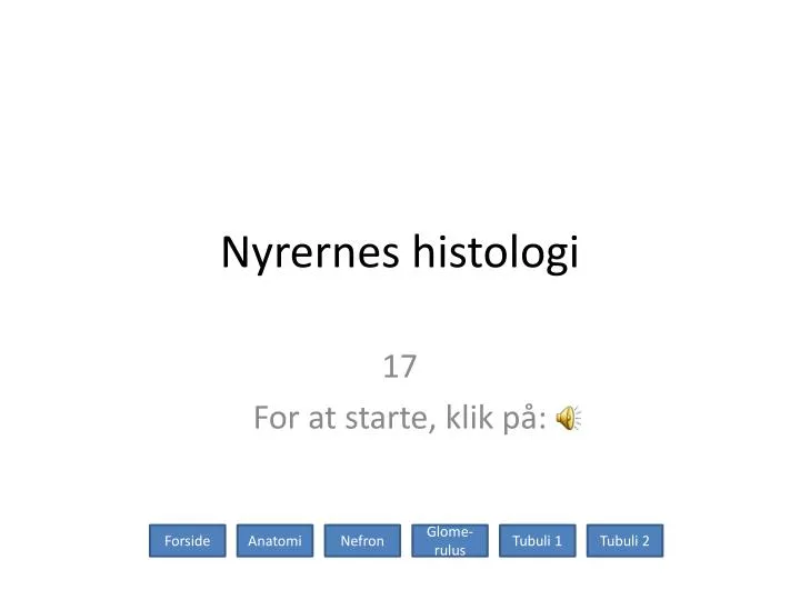 nyrernes histologi