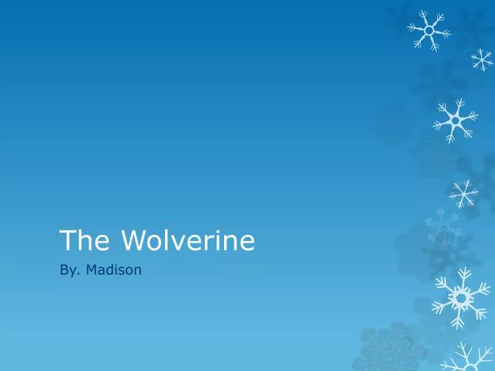 the wolverine