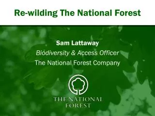 Re-wilding The National Forest