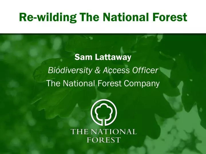re wilding the national forest