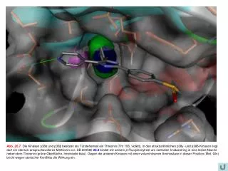 Abb26.7