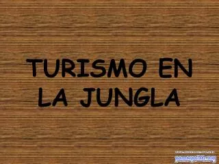 turismo en la jungla