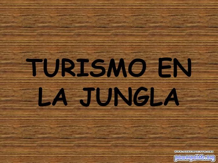 turismo en la jungla