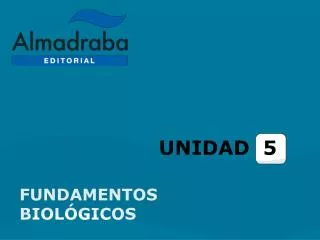unidad 5