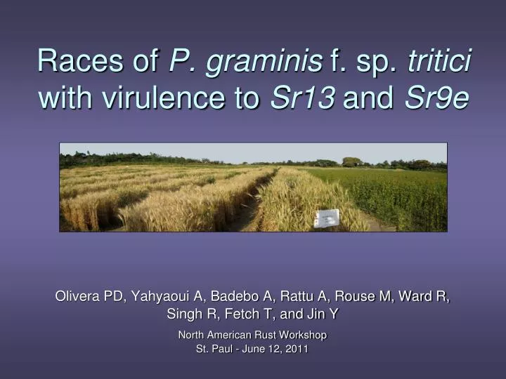 races of p graminis f sp tritici with virulence to sr13 and sr9e