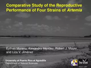 Comparative Study of the Reproductive Performance of Four Strains of Artemia